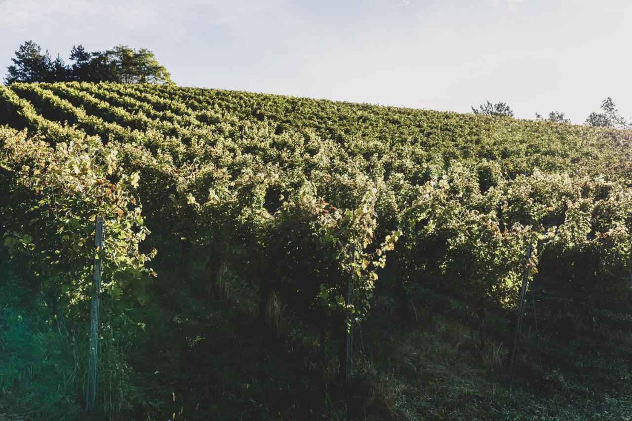 Weingut Peter Grill Bed & Breakfast ลอยช์ชาค ภายนอก รูปภาพ