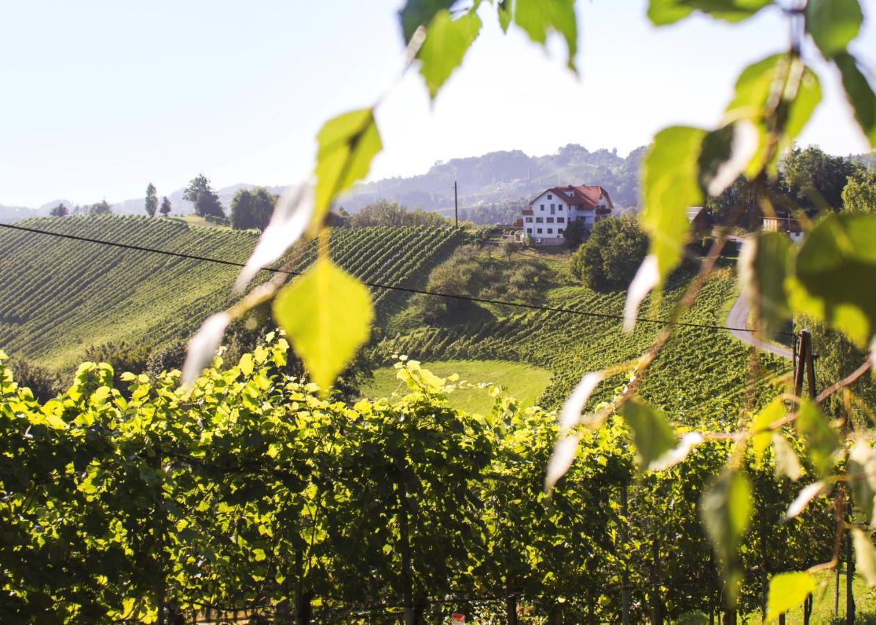Weingut Peter Grill Bed & Breakfast ลอยช์ชาค ภายนอก รูปภาพ